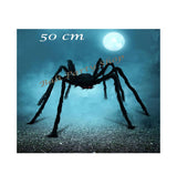 Halloween Costumes, Hat & Accessories